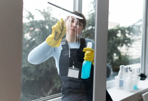 Nettoyage de vitres intérieures et extérieures à Neaux